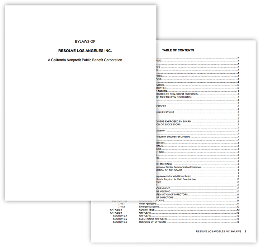Photo of Bylaws documentation